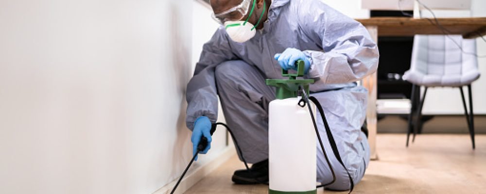 Pest Control Exterminator Man Spraying Termite Pesticide In Office